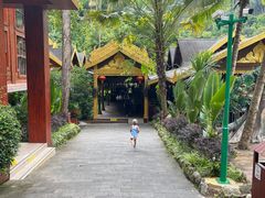 -西双版纳原始森林公园