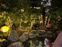 -张家港金凤凰度假村温泉