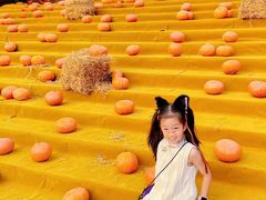 -灵玲国际马戏城