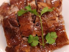 -椿记烧鹅(叠彩店)