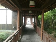 -东园小馆·早茶·淮扬小炒(宋夹城店)