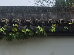 -上海醉白池公园