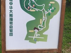 -都江堰中华大熊猫苑