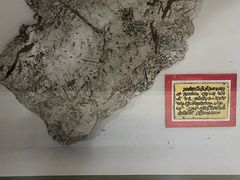 -天燕原始生态旅游区-天门垭景区