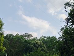 -深圳湾公园(南山区)