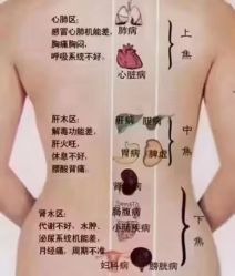 -安吉拉青春化管理中心