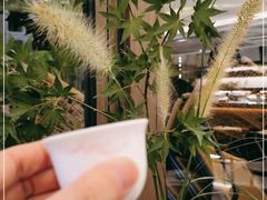 -扫雪煮茶(西村店)