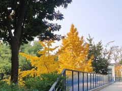 -成飞公园