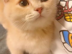 -瑞鹏宠物医院·内科·中兽医·骨科(苗圃店)