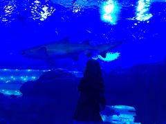 -成都浩海立方海洋公园