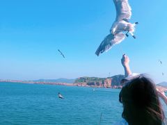 -海驴岛(荣成市)