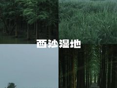 -瀛洲公园