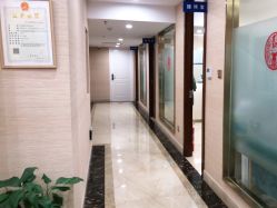 -碧莲盛·不剃发植发