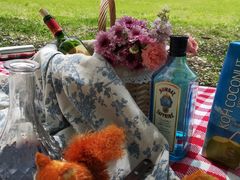 -长白岛森林公园