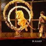 义乌跨年Ⅰ兽王降临！[礼花]狮吼开年！[礼花]好运连连！[色]