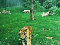 -北京野生动物园