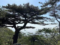 -罗田薄刀峰风景区