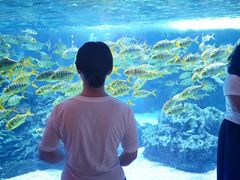 -海合安成都极地海洋公园