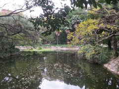 -叶家花园