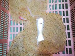-無招牌海鮮(芽笼店)
