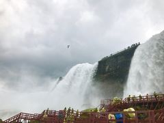 -尼亚加拉瀑布州立公园