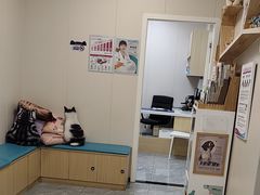 -美联众合爱康动物医院•复杂内科•肿瘤科•牙科•腔镜诊疗中心