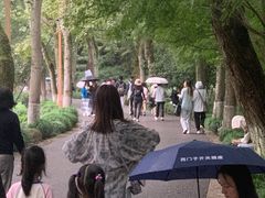 -西湖风景区十里琅珰-五云山