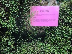 -南通洲际绿博园