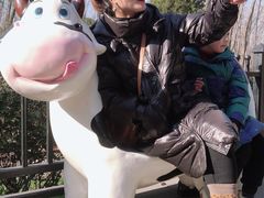 -合肥滨湖国家森林公园