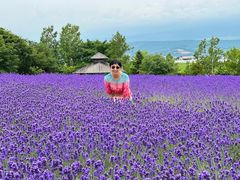 -富田农场