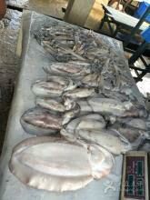 -尼甘布海鲜市场