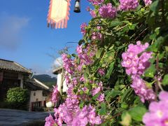 -广东天露山旅游度假区