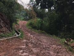 -凤栖山