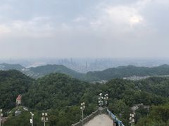 -大金鹰园