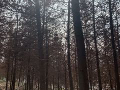 -金海湾滨江公园