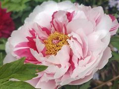 -玄武湖景区-情侣园游乐场