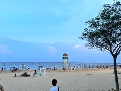 -碧海金沙