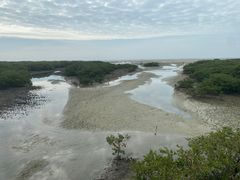 -北海金海湾红树林生态旅游区