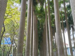 -竹子林(地铁站)