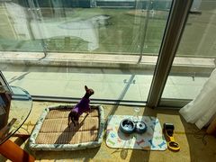 -阳澄湖费尔蒙酒店