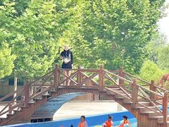 -灵山莲花公园-温泉度假区