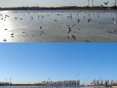 -东堤公园