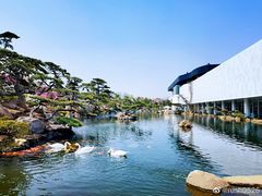 -罗红摄影艺术馆