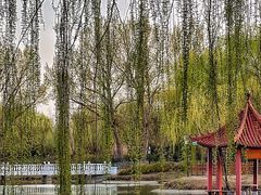 -东郊湿地公园
