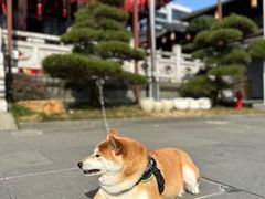 -香积寺
