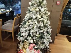 -威珀斯酒店·珀萃美食餐厅 | 海鲜刺身·现烤生蚝·特色烤肉