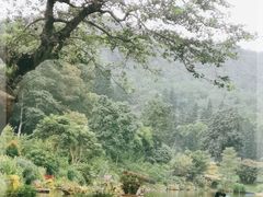 -深圳仙湖植物园