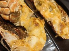 -黑松白鹿(金融街店)