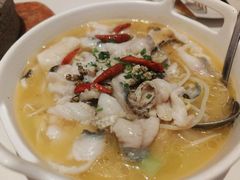 -Aqua Oasis 水天堂(石路天虹店)