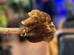 -Xabnam_夏葡纳·新疆餐厅(日坛上街店)
